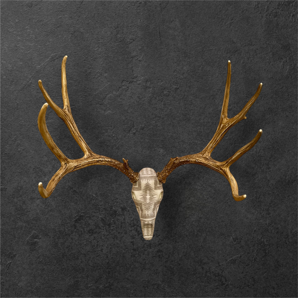 Mule Deer Buck Replica Euro Mount